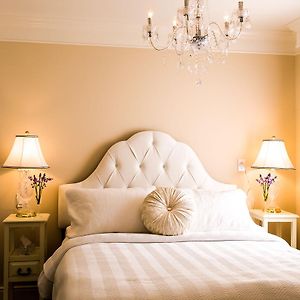 One-Bedroom Queen Suite Sofa Bed